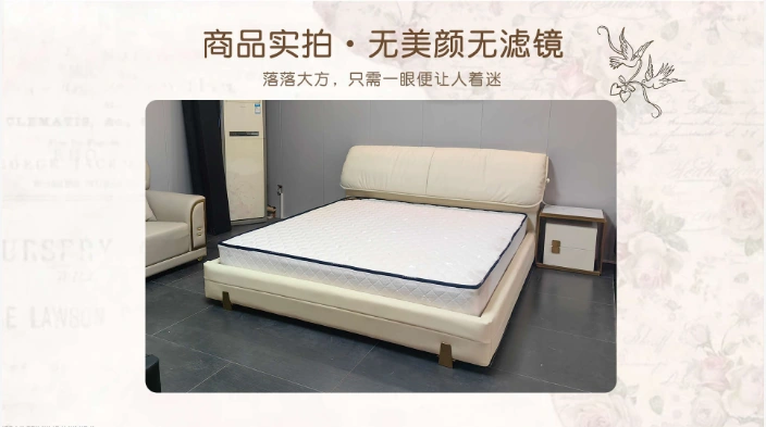 TZ10 Upholstered Bed Upholstered bed frame · Product images supplied by seller